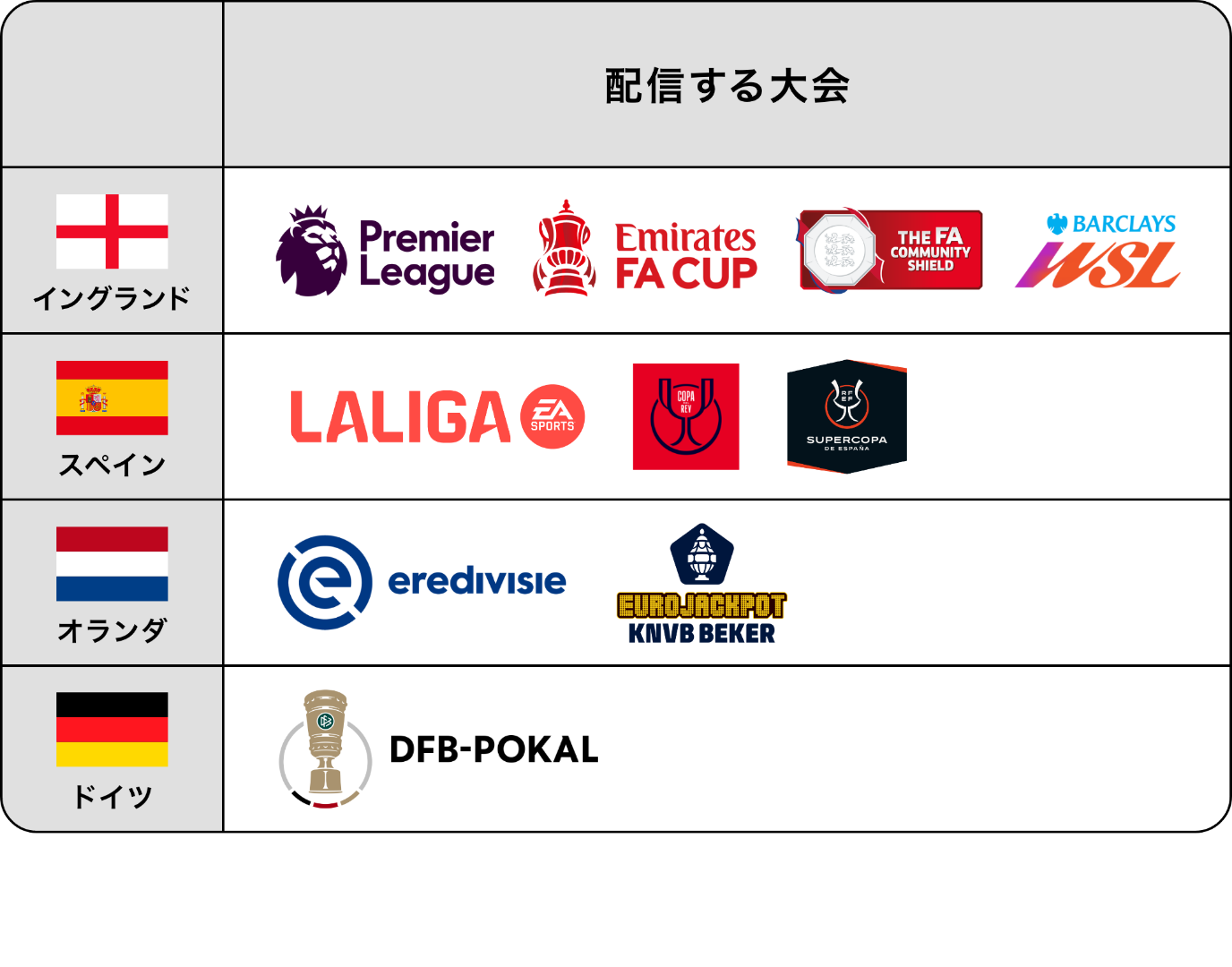 欧州サッカーリーグ